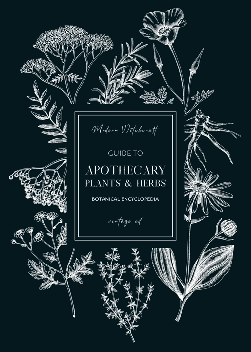 Apothecary plant frame design. Witchcraft book cover. Herbal remedies, medicinal plant, natural medicine hand-drawn vector illustration on chalkboard. Vinatge herbs background. NOT AI genereted